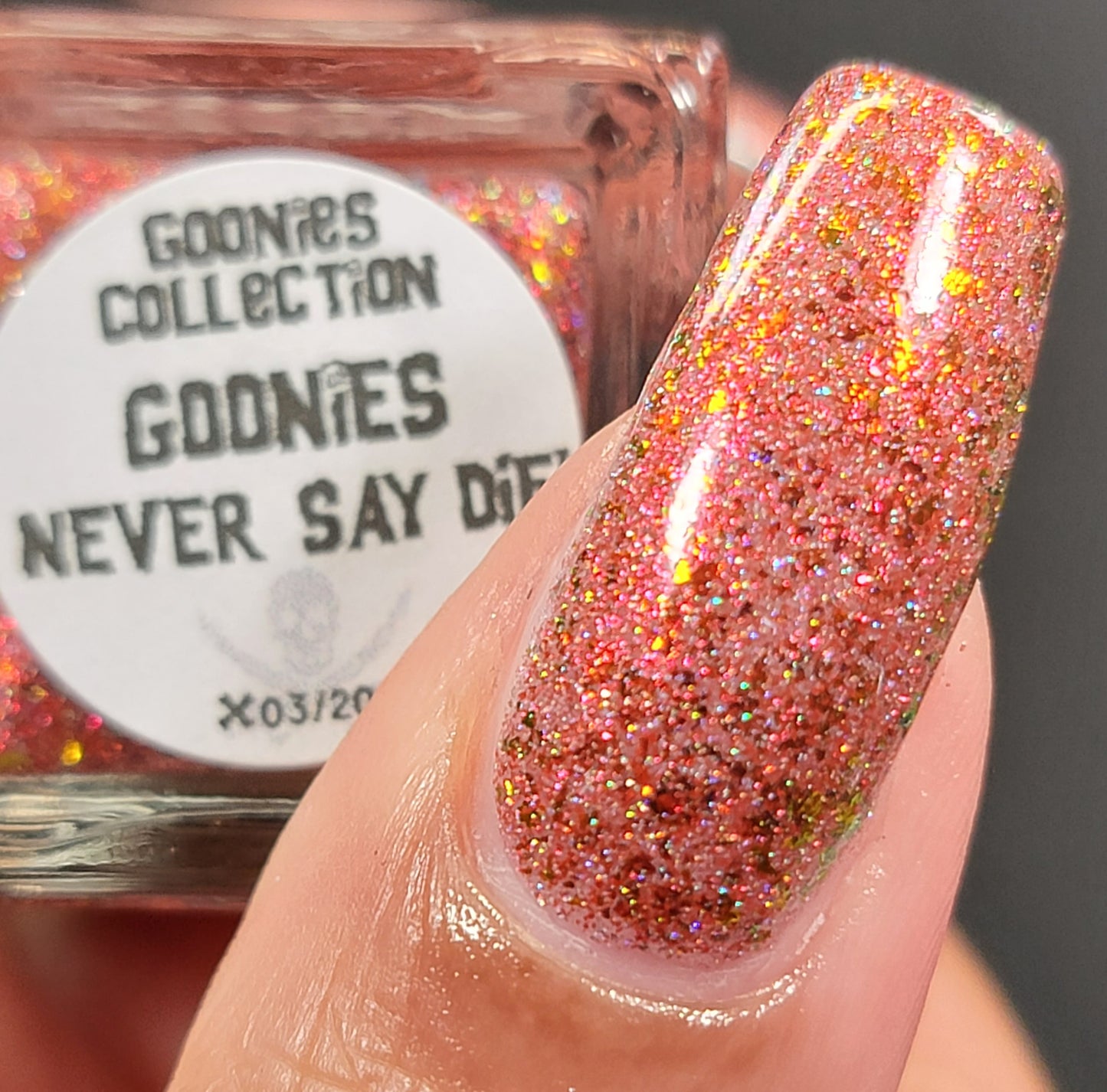 Goonies Never Say Die!
