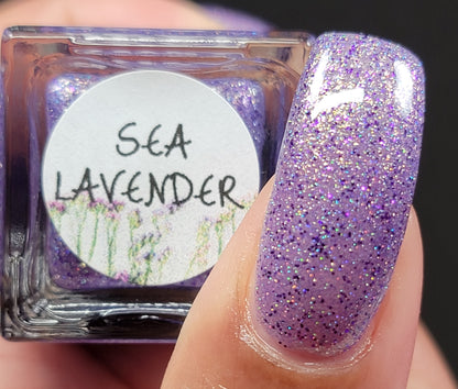 Sea Lavender